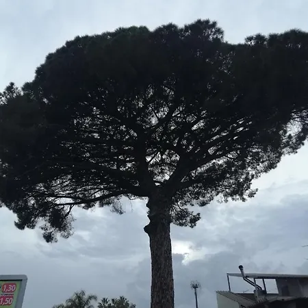 Casa Il Pino Dell'etna Ferienhaus